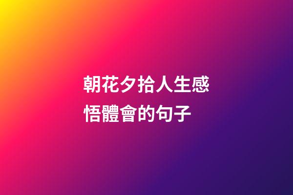 朝花夕拾人生感悟體會的句子