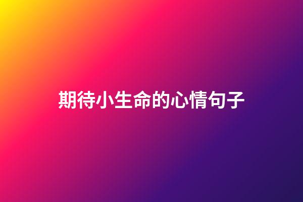 期待小生命的心情句子