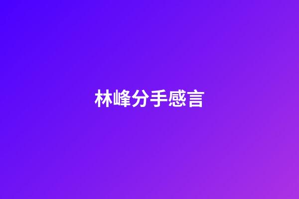 林峰分手感言