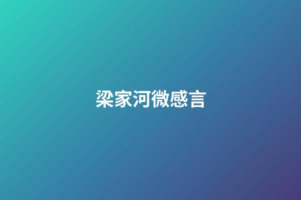 梁家河微感言