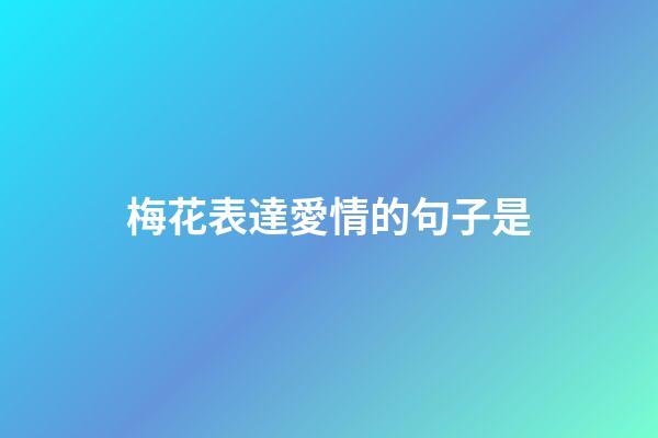 梅花表達愛情的句子是