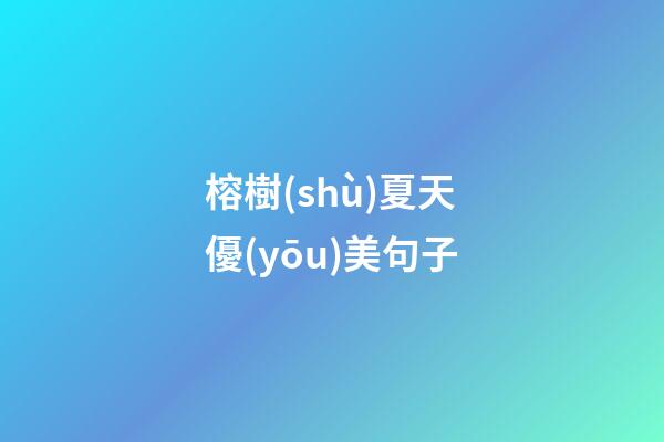 榕樹(shù)夏天優(yōu)美句子