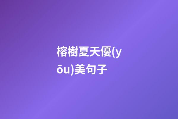榕樹夏天優(yōu)美句子