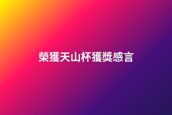 榮獲天山杯獲獎感言