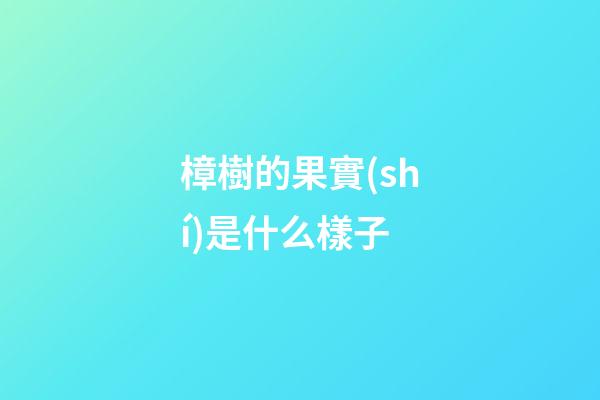 樟樹的果實(shí)是什么樣子