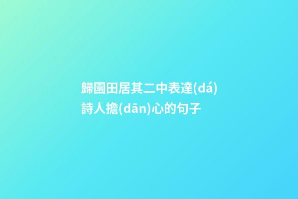 歸園田居其二中表達(dá)詩人擔(dān)心的句子