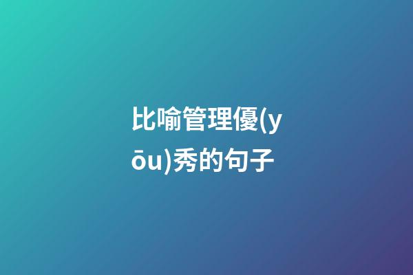 比喻管理優(yōu)秀的句子