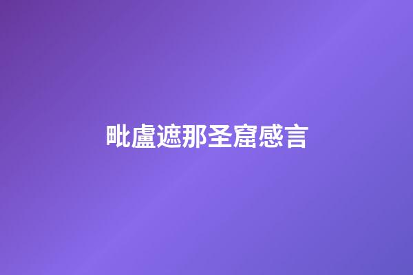 毗盧遮那圣窟感言