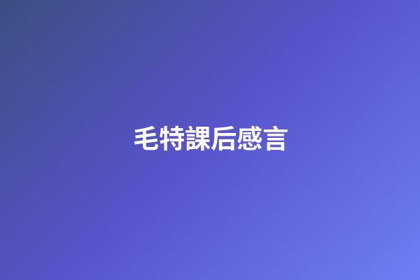 毛特課后感言