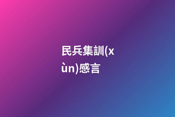 民兵集訓(xùn)感言