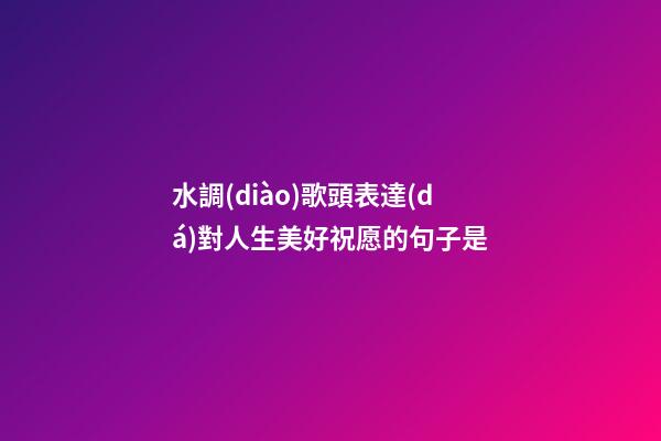 水調(diào)歌頭表達(dá)對人生美好祝愿的句子是