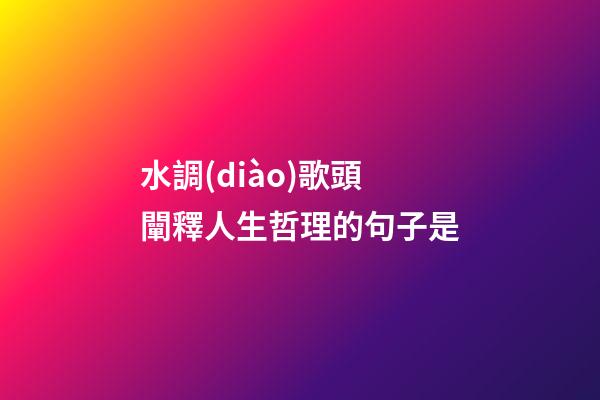 水調(diào)歌頭闡釋人生哲理的句子是