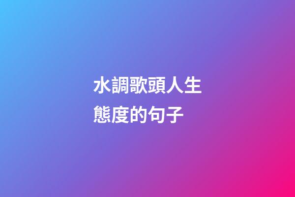 水調歌頭人生態度的句子