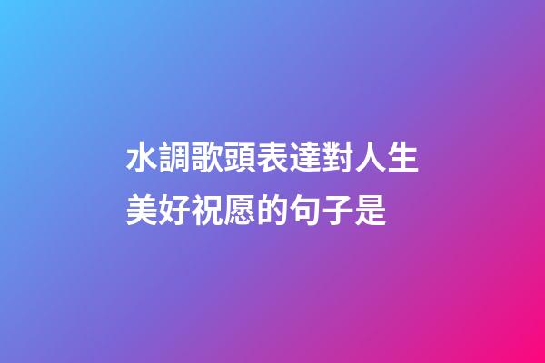 水調歌頭表達對人生美好祝愿的句子是