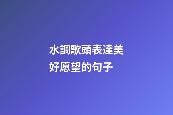 水調歌頭表達美好愿望的句子
