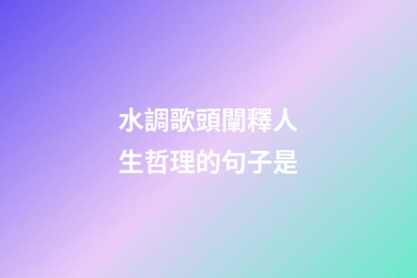 水調歌頭闡釋人生哲理的句子是