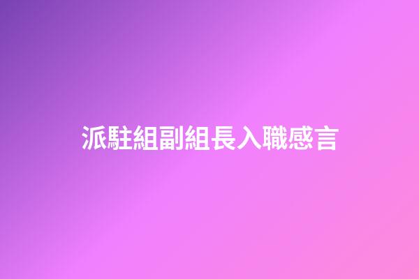 派駐組副組長入職感言