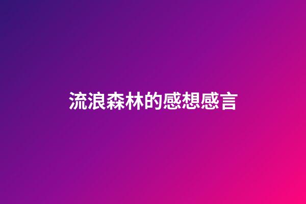 流浪森林的感想感言