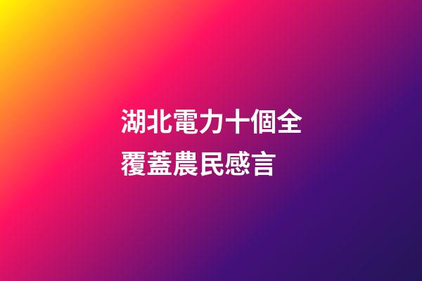 湖北電力十個全覆蓋農民感言