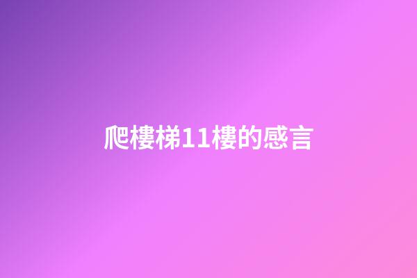 爬樓梯11樓的感言
