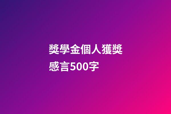 獎學金個人獲獎感言500字