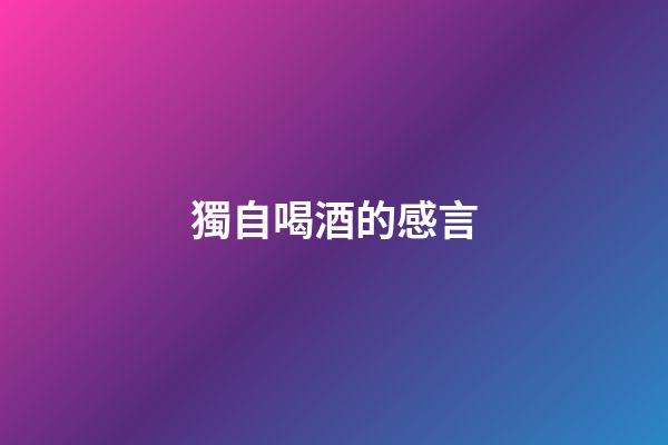 獨自喝酒的感言