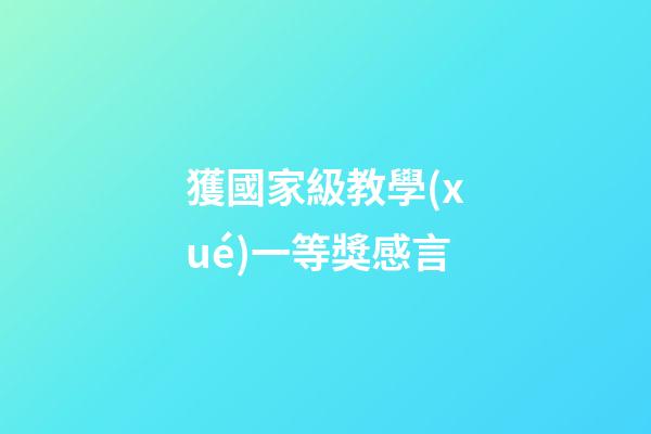 獲國家級教學(xué)一等獎感言