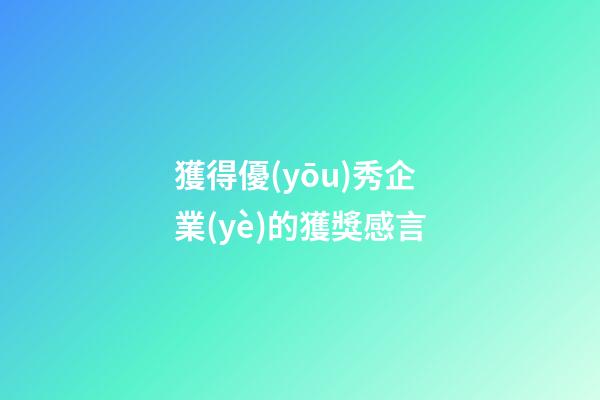 獲得優(yōu)秀企業(yè)的獲獎感言