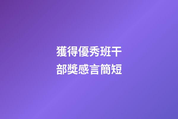 獲得優秀班干部獎感言簡短