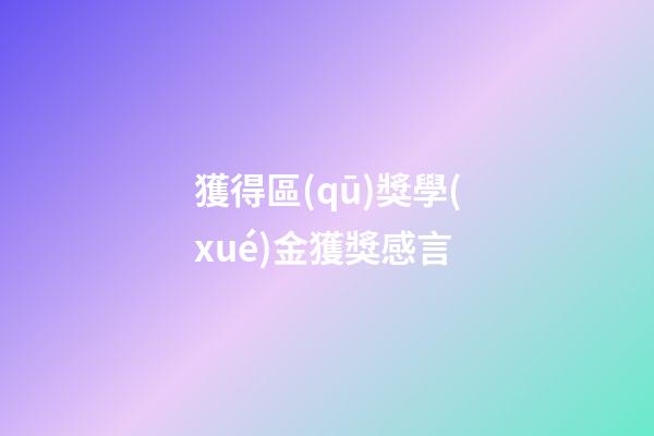 獲得區(qū)獎學(xué)金獲獎感言