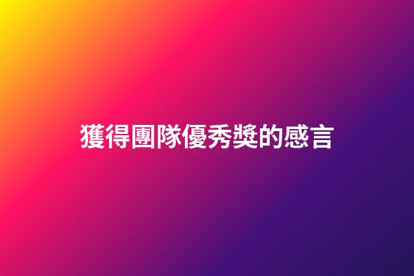 獲得團隊優秀獎的感言