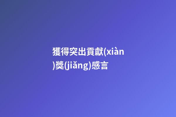 獲得突出貢獻(xiàn)獎(jiǎng)感言