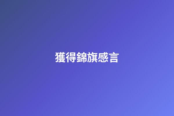 獲得錦旗感言