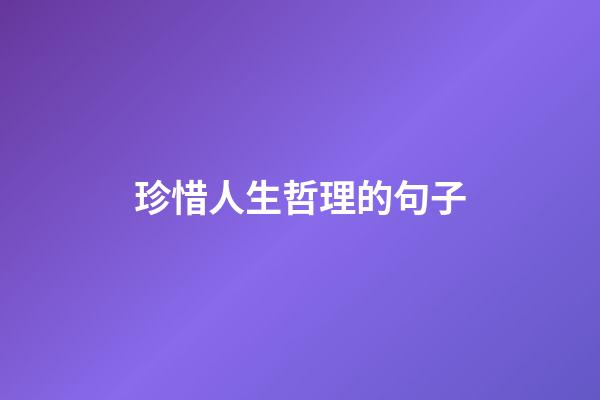 珍惜人生哲理的句子