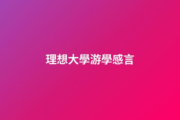 理想大學游學感言