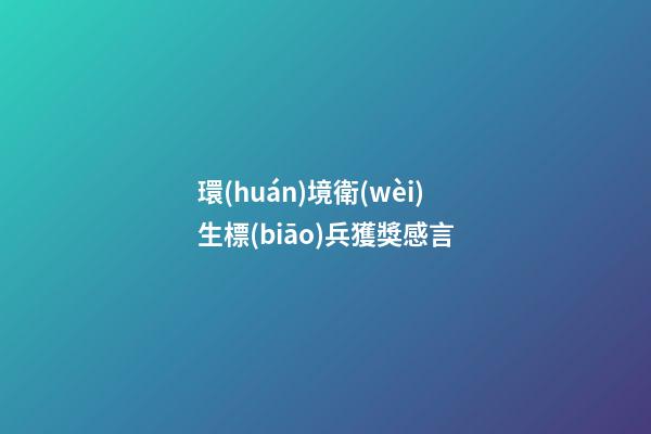 環(huán)境衛(wèi)生標(biāo)兵獲獎感言