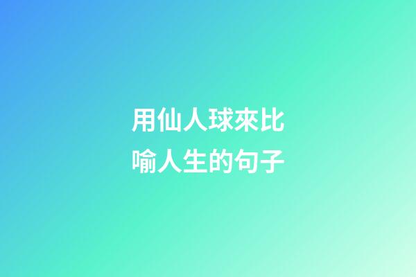 用仙人球來比喻人生的句子