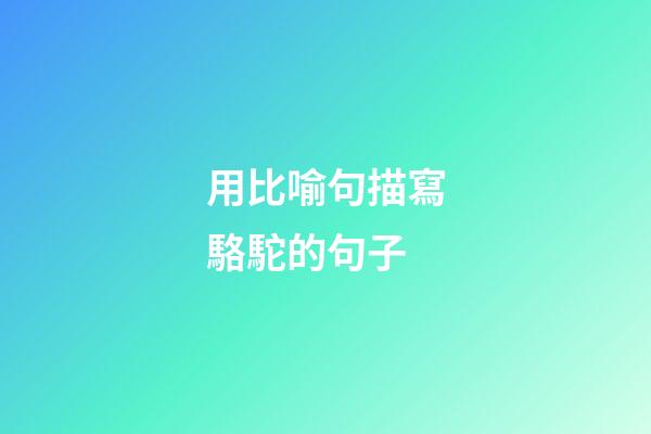 用比喻句描寫駱駝的句子