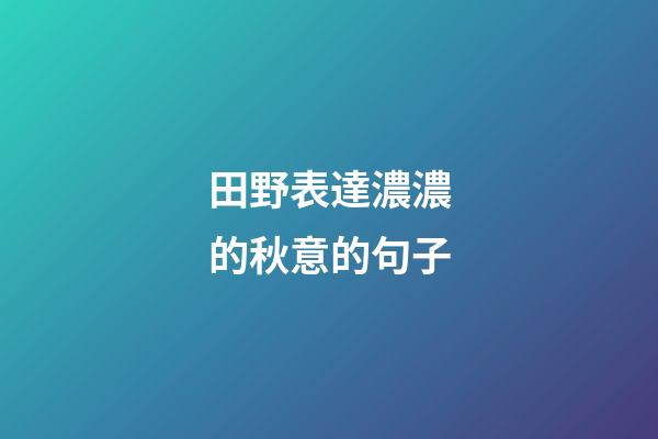 田野表達濃濃的秋意的句子