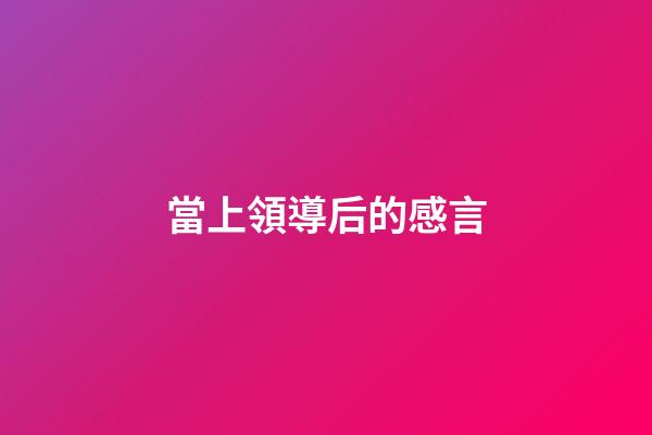 當上領導后的感言