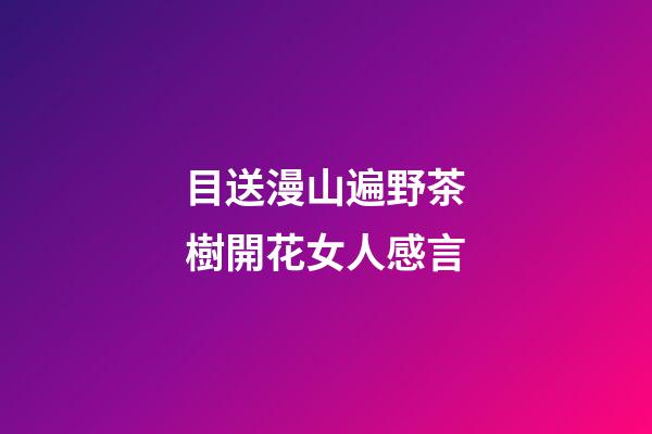 目送漫山遍野茶樹開花女人感言