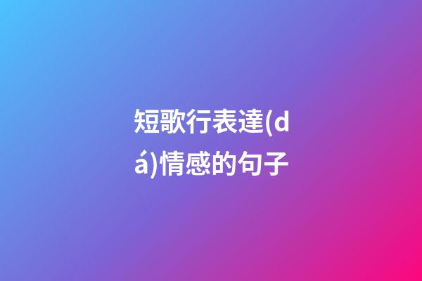 短歌行表達(dá)情感的句子