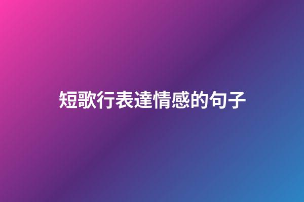 短歌行表達情感的句子