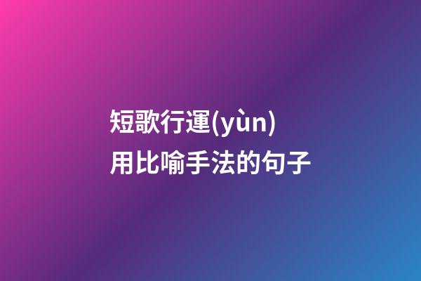 短歌行運(yùn)用比喻手法的句子