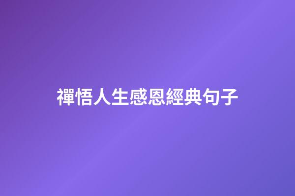 禪悟人生感恩經典句子