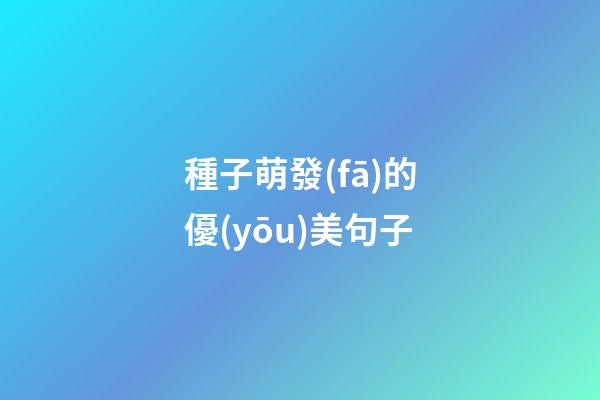 種子萌發(fā)的優(yōu)美句子