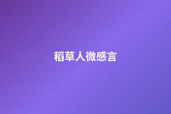 稻草人微感言