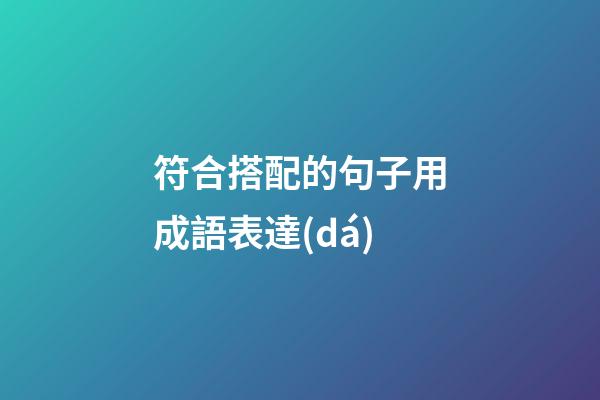 符合搭配的句子用成語表達(dá)