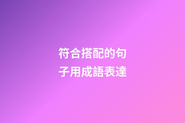 符合搭配的句子用成語表達