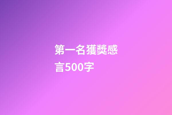 第一名獲獎感言500字